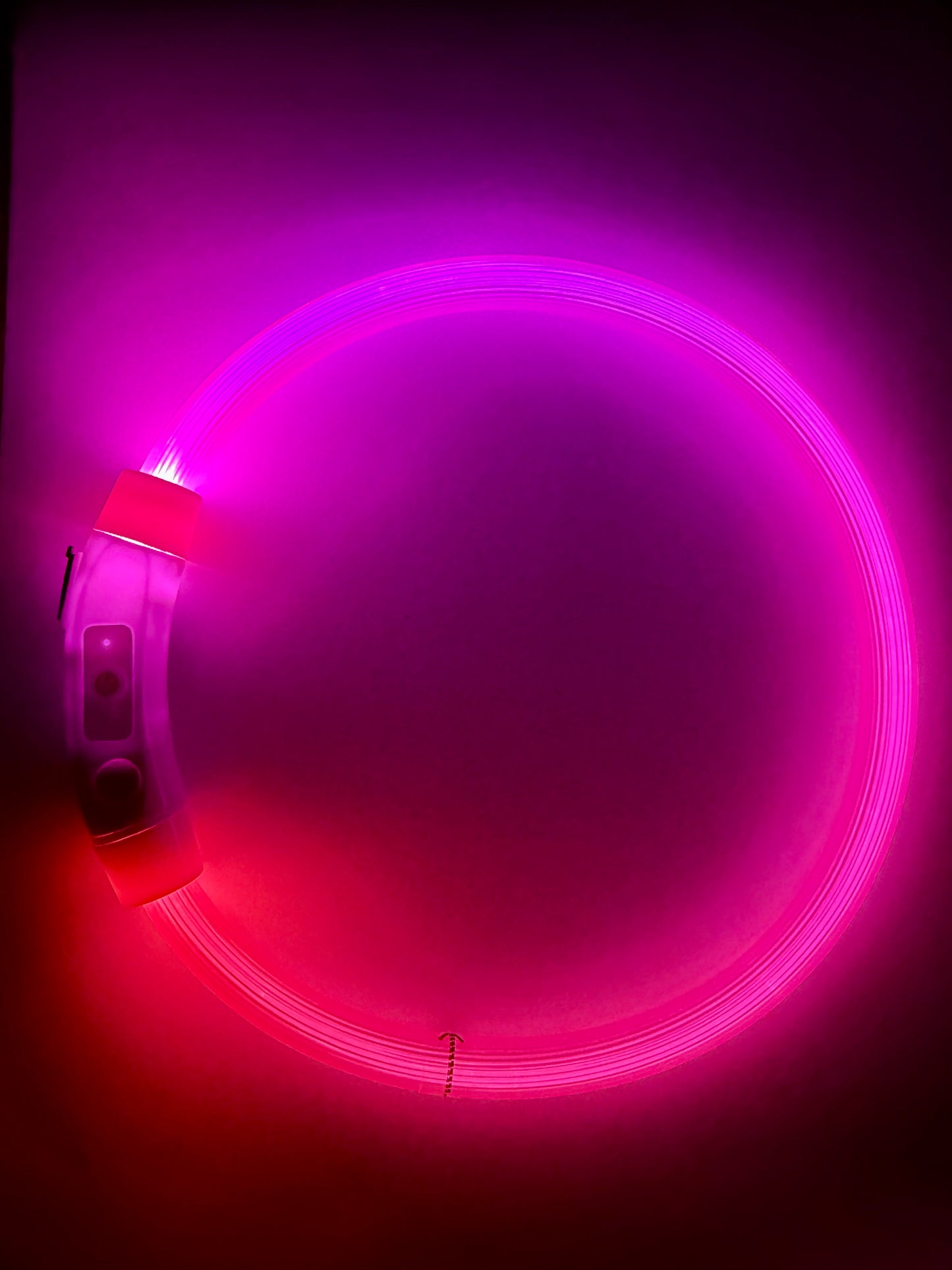 Leuchtstarkes LED-Hundehalsband, wiederaufladbar, pink (1stk)